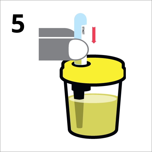 Afname-instructies urine onderzoek (5).png